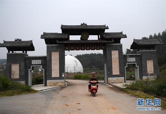 【焦點圖】【八桂大地-南寧】廣西南寧：老村“種”文化 增收面貌新