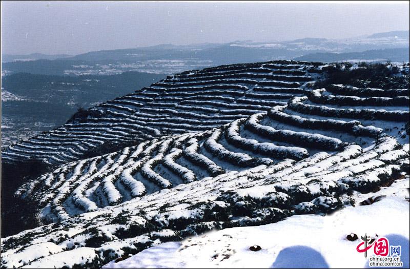 劍門關迎來2018年第一場雪 銀裝素裹景色宜人