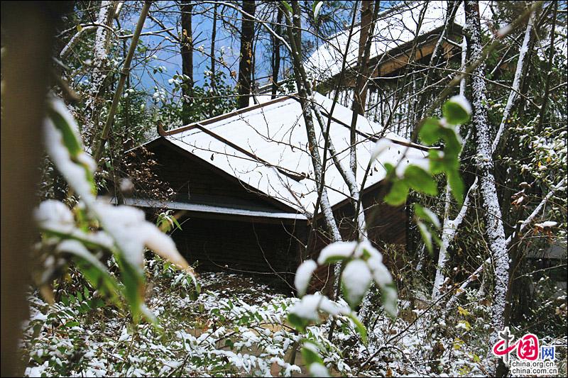 劍門關迎來2018年第一場雪 銀裝素裹景色宜人