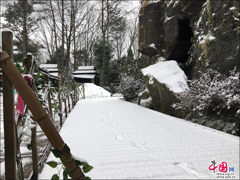 劍門關迎來2018年第一場雪 銀裝素裹景色宜人