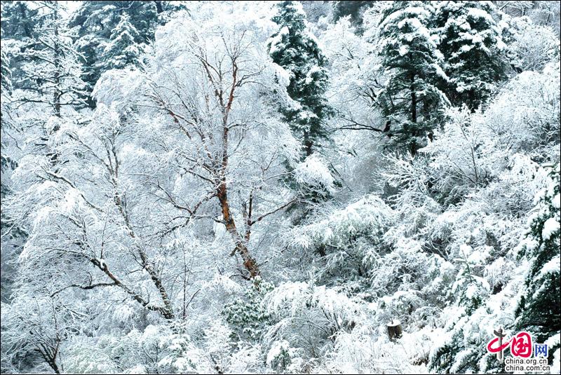 達古冰山迎來2018年第一場雪 若冰雪童話世界