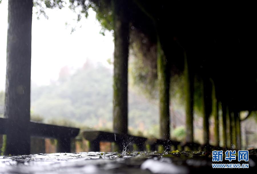 雨中踏訪台北陽明山