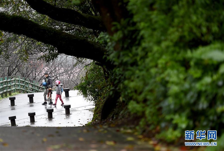 雨中踏訪台北陽明山