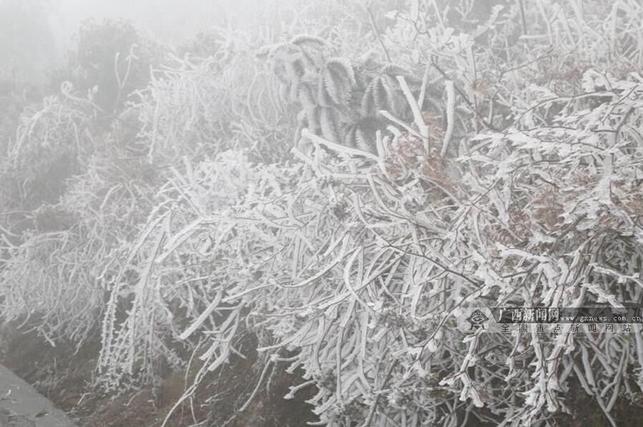 [廣西要聞]廣西發佈道路結冰黃色預警 桂北出現冰雪景觀