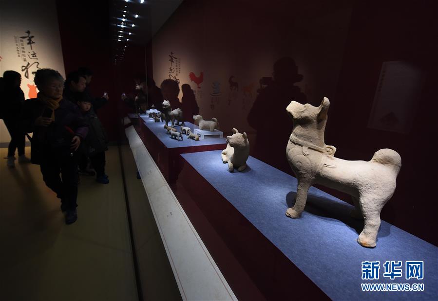 南京博物院舉辦“幸運狗”院藏犬文物展