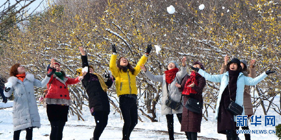 洛陽：踏雪尋梅 正當時