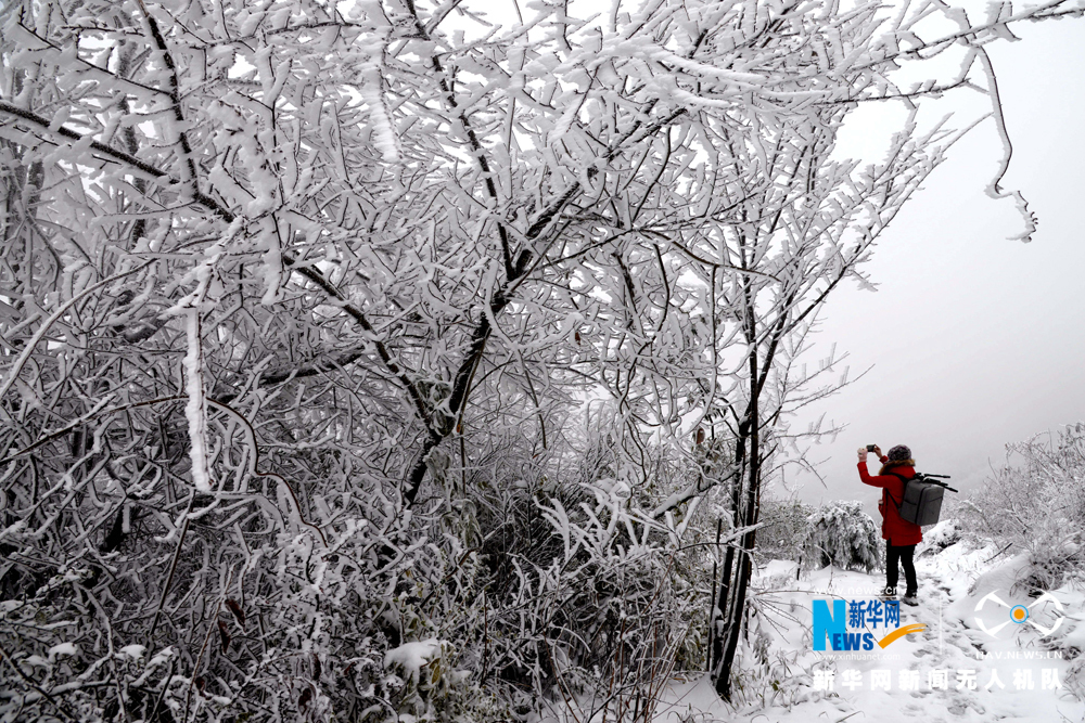 航拍瞿塘峽初雪 瓊枝玉樹景象壯美