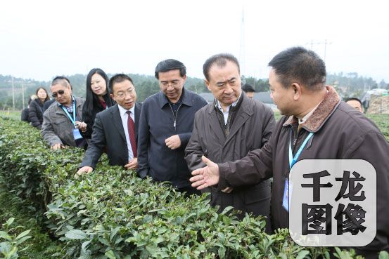 [網絡媒體走轉改]貴州山區小窮縣“扶貧書記”帶領苗鄉群眾“闖”出一條致富路