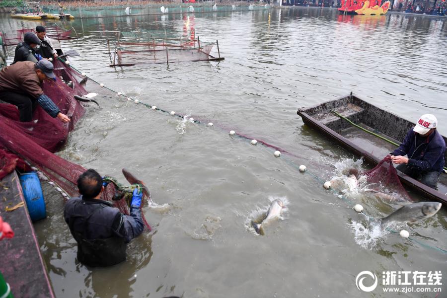 湖州：桑基魚塘美 水鄉品魚宴