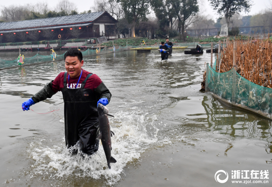 湖州：桑基魚塘美 水鄉品魚宴