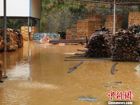 福建北部暴雨仍將持續 已轉移群眾11655人