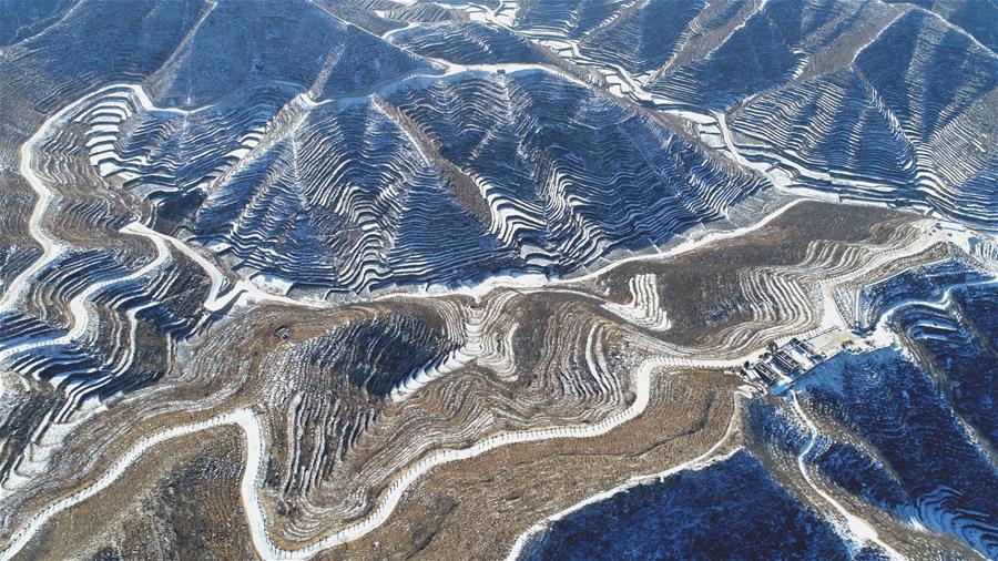 雪後梯田景如畫