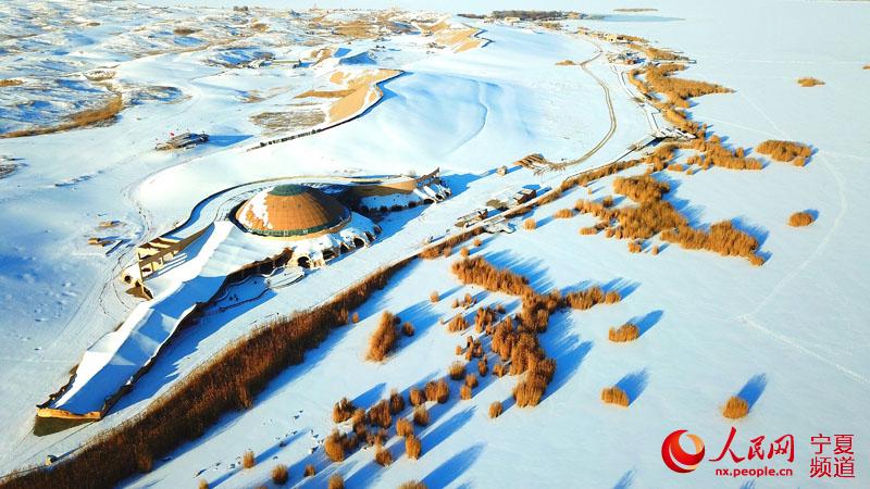 冬韻沙湖雪景美