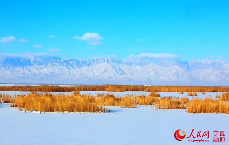 冬韻沙湖雪景美