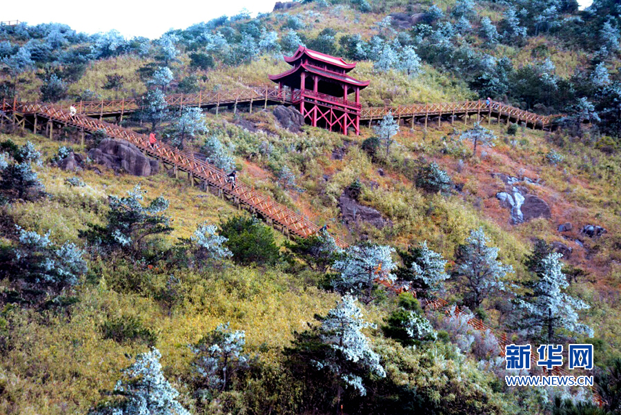 【組圖】泉州九仙山上現“雨霧凇”美景