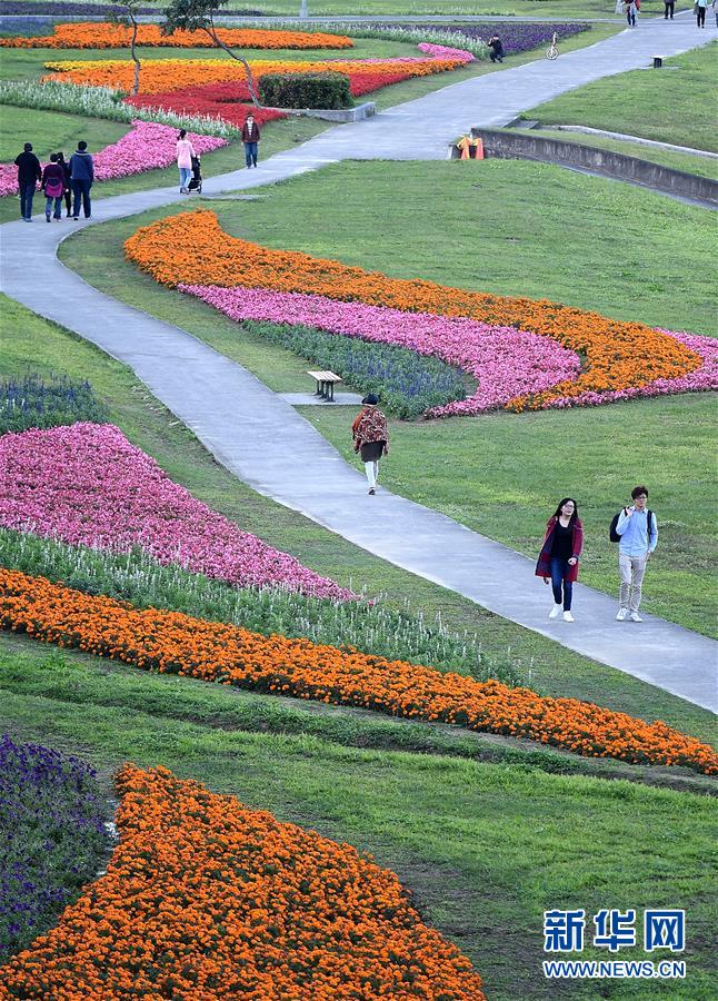 台北河濱公園花團錦簇