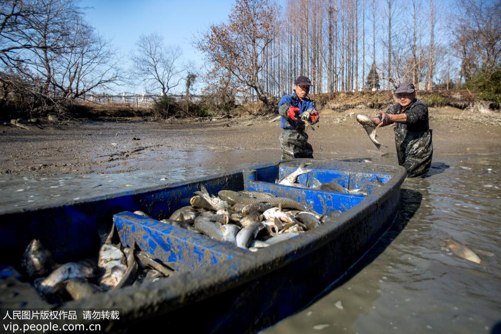 浙江長興：打年魚 迎新年