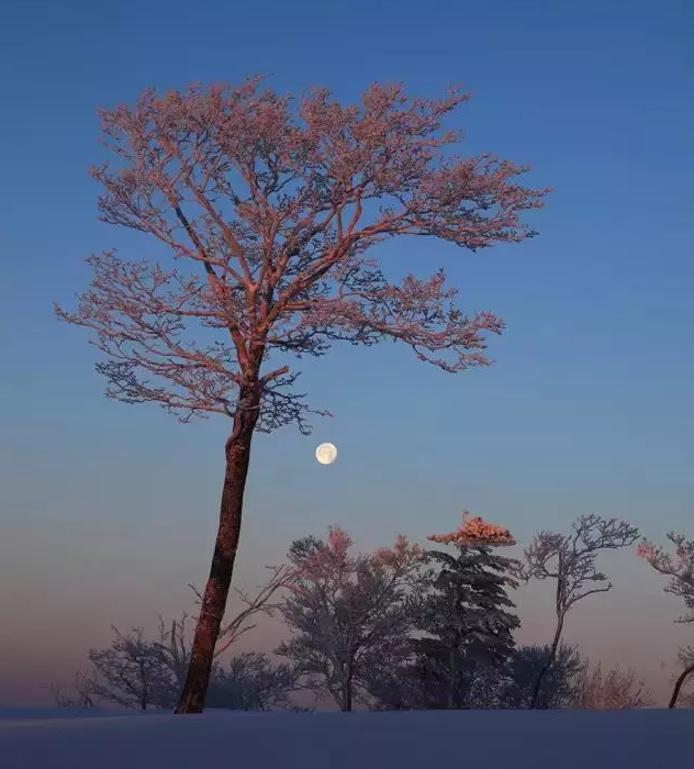 【魅力吉林2（690*300）】【白山松水（大圖375*210）】【生態吉林（標題）】【關東黑土（通化）】人間仙境——吉林省輝南縣四方頂子