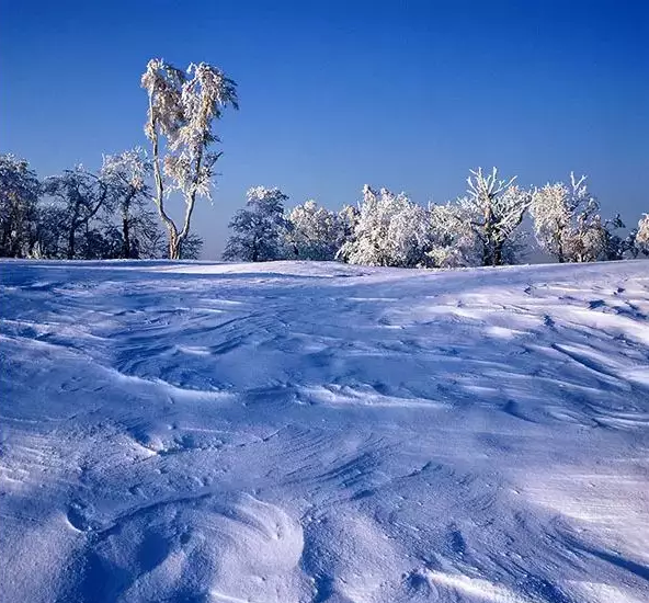 【魅力吉林2（690*300）】【白山松水（大圖375*210）】【生態吉林（標題）】【關東黑土（通化）】人間仙境——吉林省輝南縣四方頂子