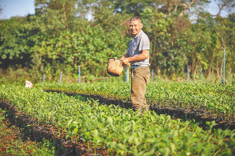 【民生】【即時快訊】迎陽光 幹農活