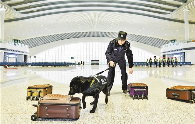 【要聞】渝貴鐵路開通在即 車組首發陣容齊亮相