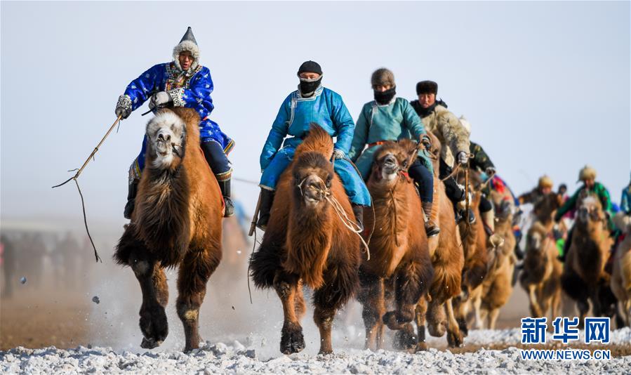 銀色冰雪那達慕 展示草原馬文化