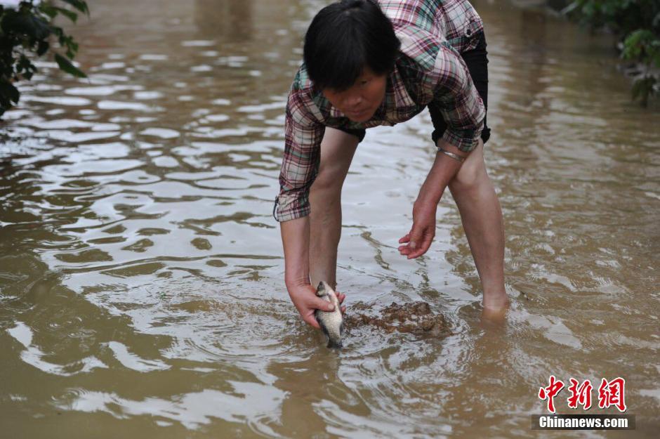 安徽遭遇強暴雨 多地被淹