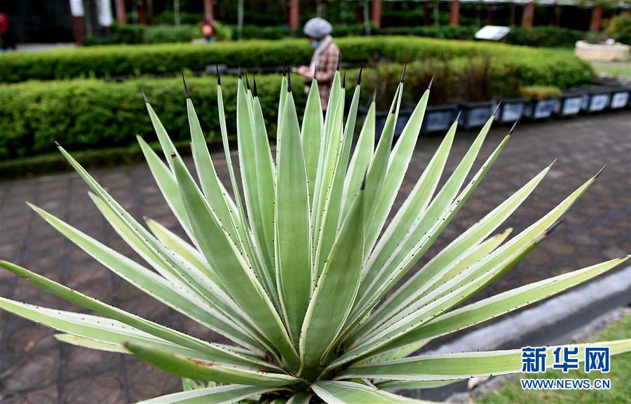 漫步台北植物園