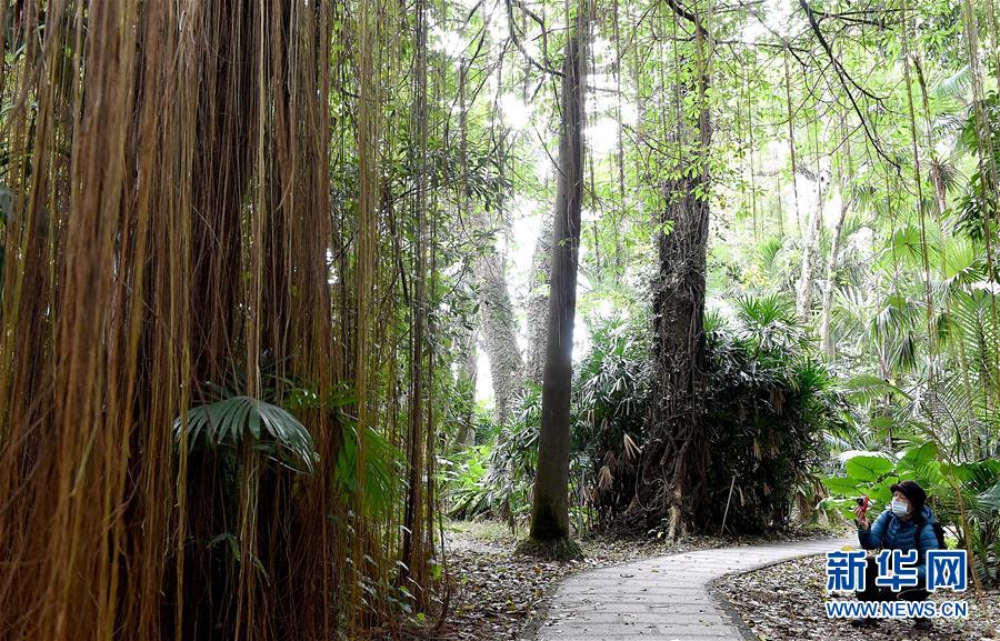 漫步台北植物園