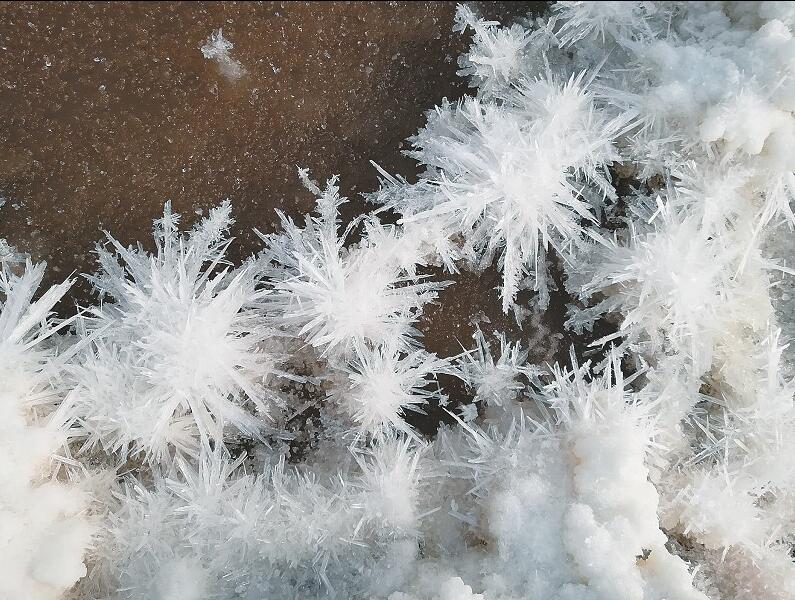 鹽湖上開出“水晶花”