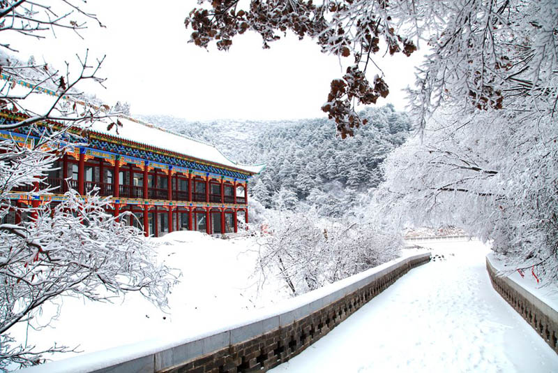 山西盂縣：雪後銀裝素裹美景如詩如畫