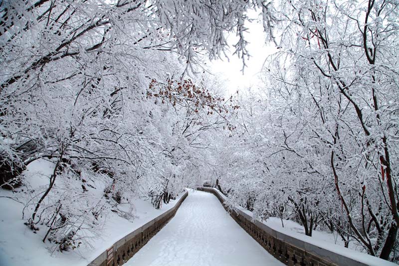 山西盂縣：雪後銀裝素裹美景如詩如畫