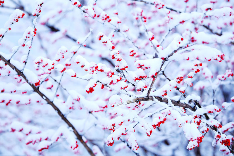 山西盂縣：雪後銀裝素裹美景如詩如畫