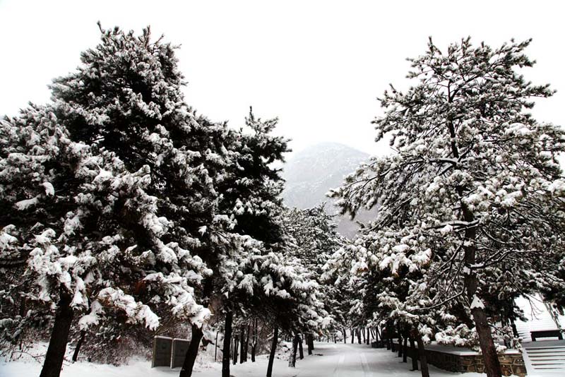 山西盂縣：雪後銀裝素裹美景如詩如畫