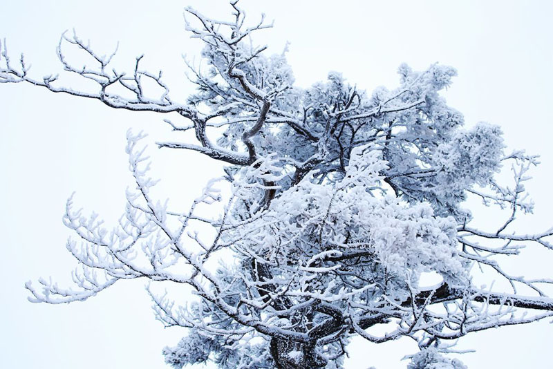 山西盂縣：雪後銀裝素裹美景如詩如畫