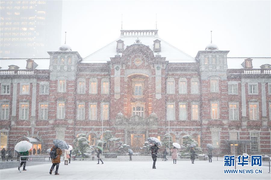 日本東京迎初雪