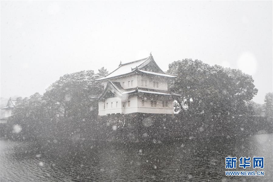 日本東京迎初雪