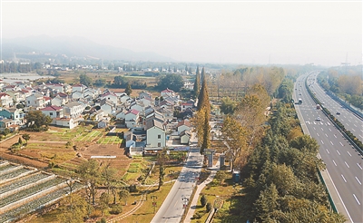 （頭條下文字）特色田園 展示鄉村振興新圖景