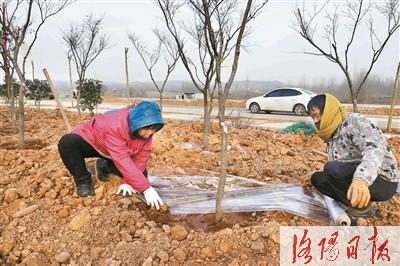 推進洛河生態治理 打造綠色生活長廊