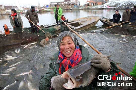 （已過審 供稿 社會廣角 三吳大地南通）南通海安第七屆裏下河捕魚節成功舉辦