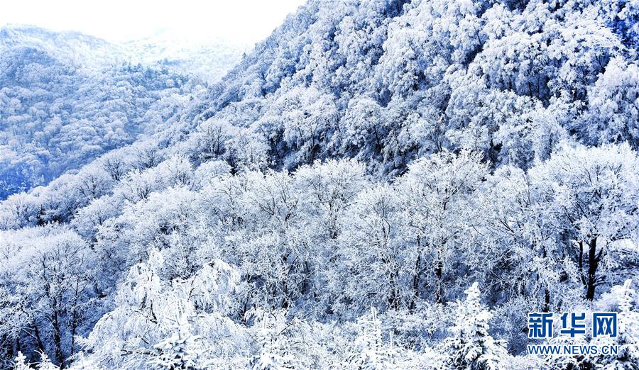 陜西漢中：雪後初霽紫柏山