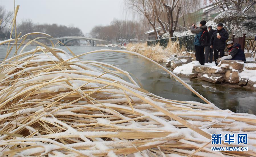 山東濟南：雪後大明湖美如畫