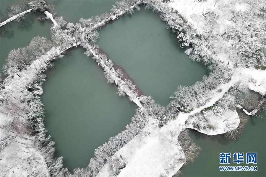 杭州：雪繪西溪