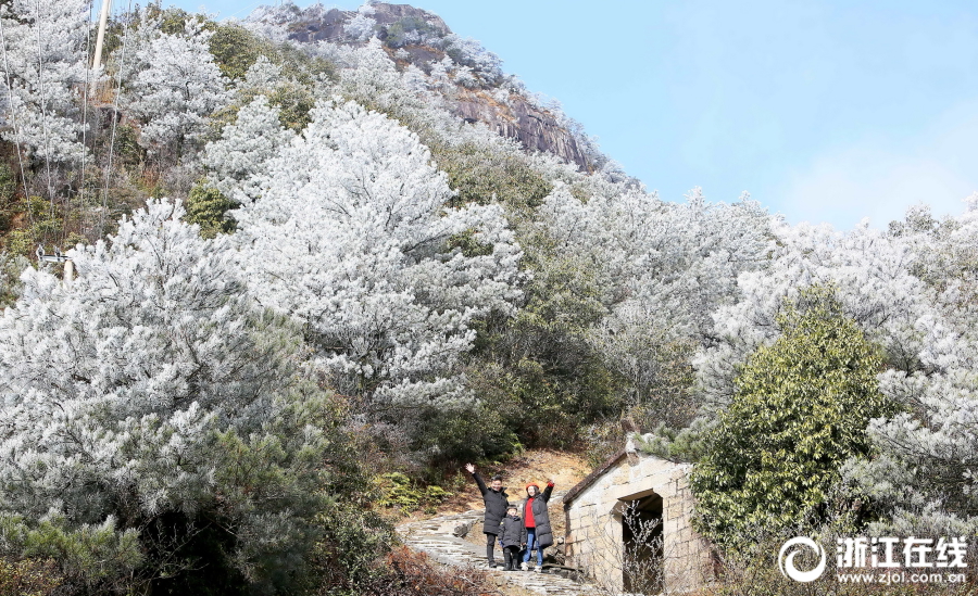 瑞安金雞山現“霧凇”