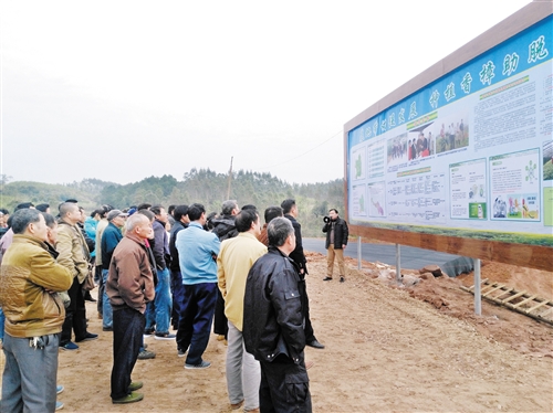 【園區建設-圖文】發展産業富民　推進鄉村振興  ——邕寧區打出産業發展組合牌拓寬富民道路（頭圖在文末）