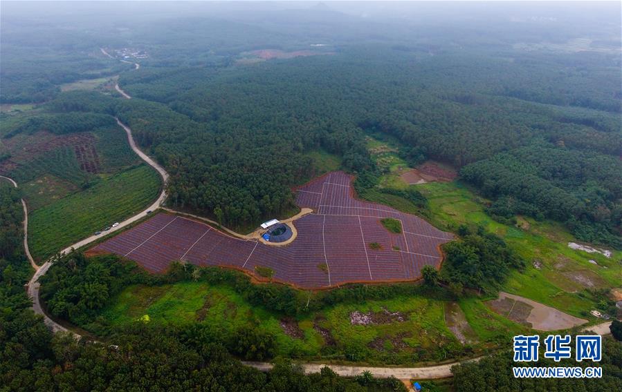 羊風極：打贏新時代的脫貧攻堅戰