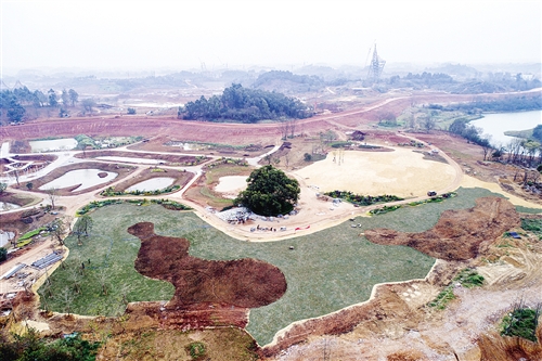 【廣西要聞】百人揮臂為園博園“勾線上色” 園林景觀初現雛形