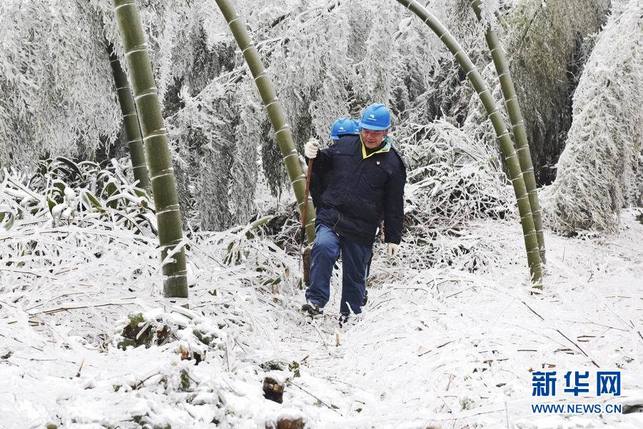 【焦點圖】穿越“冰雪竹簾洞” 踏冰雪去巡線