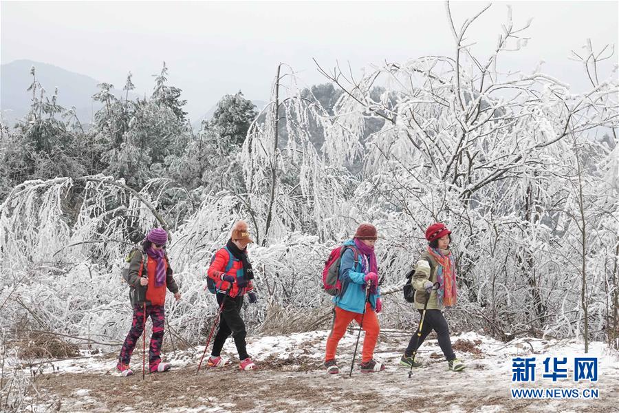 貴陽雲霧山雪景醉遊人