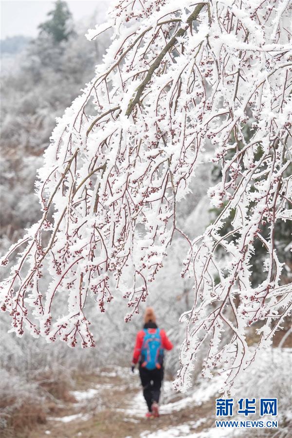 貴陽雲霧山雪景醉遊人